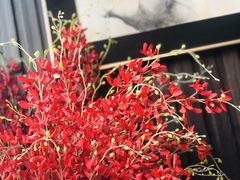 -颐和•海鲜砂锅粥•啫啫煲(奥林匹克广场店)