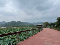 -东钱湖小普陀景区