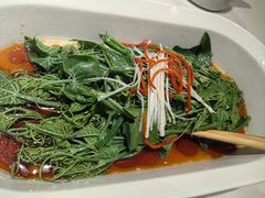 清炒丝瓜尖-潇湘码头·鲜湘菜(清河店)