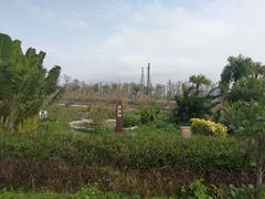 -芒洲湿地公园