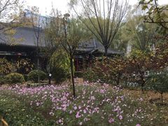 -文瀛公园
