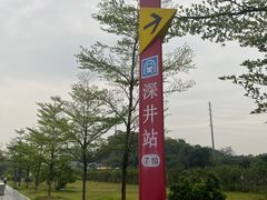 -姚林轩