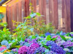 -大妙火锅·非物质文化遗产(东湖公园店)