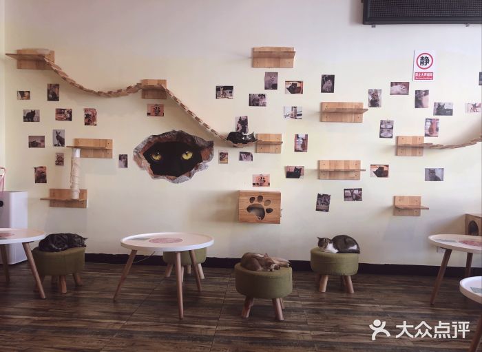 喵匠猫主题咖啡(凯德和平广场店)大堂图片