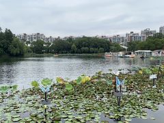 -新江湾城公园