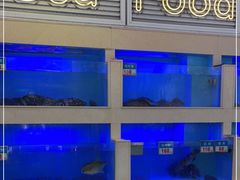 -宜宾海鲜酒家·三十年老字号