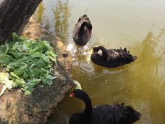 -厦门悦华酒店