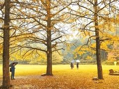 -永州阳明山国家森林公园