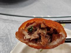 -丁老爷子苏香圆