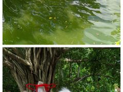 -深圳野生动物园