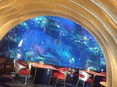 -迪拜帆船酒店海底餐厅