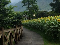 -通透堂中医·精准推拿(旗舰店)