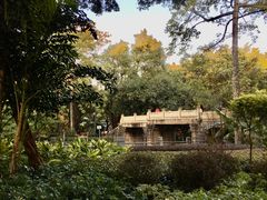 -晓港公园