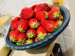 -西北农副产品中心批发市场(广安路店)