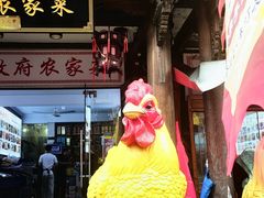 -巢湖名吃·徽府农家菜(半汤店)
