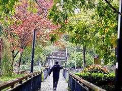 -月湖风景区