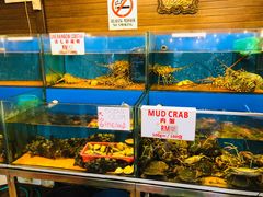 -真浪花园海鲜餐馆