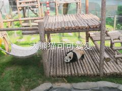 -大连森林动物园