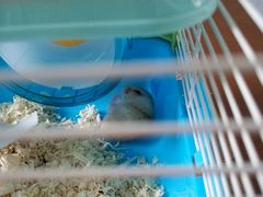 -龙猫仔乐园(惠福东路店)