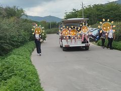 -亚龙湾国际玫瑰谷