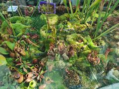 -国家植物园南园