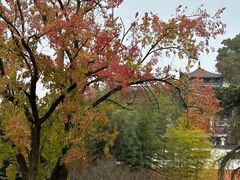 -东坡赤壁风景名胜区