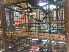 -蒙特利亲子乐园