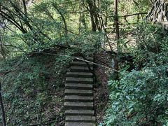 -龙湾潭国家森林公园