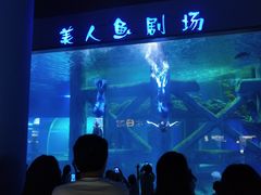 -临沂极地海洋王国