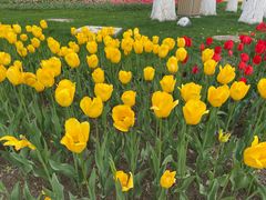 -西宁市人民公园(城西区)