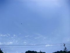 -白塔山公园