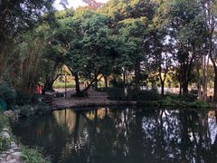 -成都市活水公园