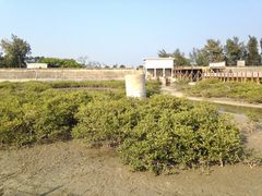 -北海金海湾红树林生态旅游区