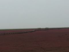 -红海滩国家风景廊道