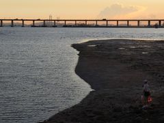 -宝安西湾红树林湿地公园