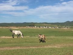 -塞罕坝国家级自然保护区