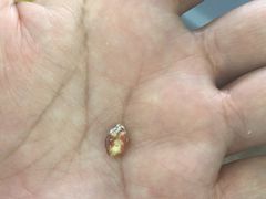 -北京博爱动物医院有限公司