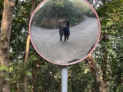 -小南山公园