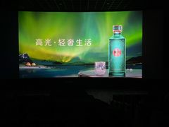 -汉阳天河电影城(王家湾店)