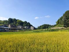 -九曲溪竹筏码头