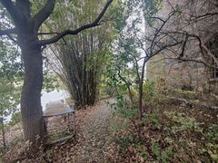 -杏花村文化旅游区