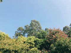 -深圳国际园林花卉博览园