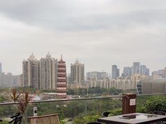 -小茶闲舍·观景商务茶馆(广州塔店)