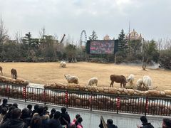 -郑州银基国际旅游度假区