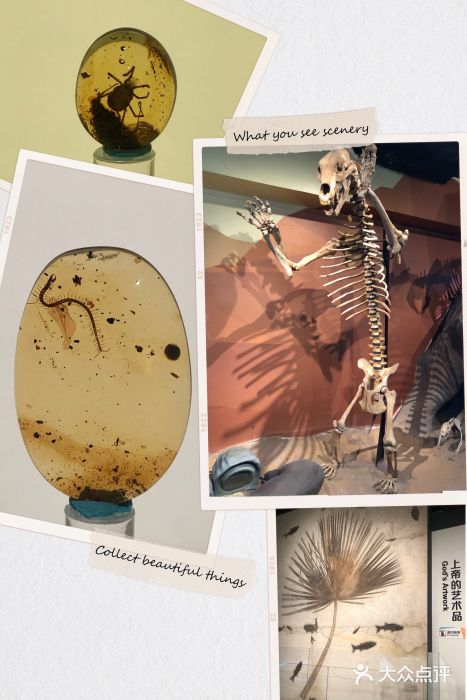 正佳自然科学博物馆图片