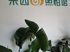 -梨园照相馆·签证照·身份证护照回执采集拍摄网点(北京店)