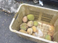 -榴莲一条街