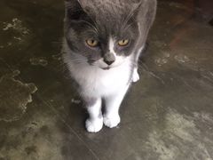 -MIKAKU(万达广场上海宝山店)