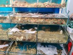 -仙螺岛海鲜自助餐厅(总店)