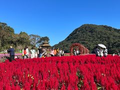 -广州市石门国家森林公园